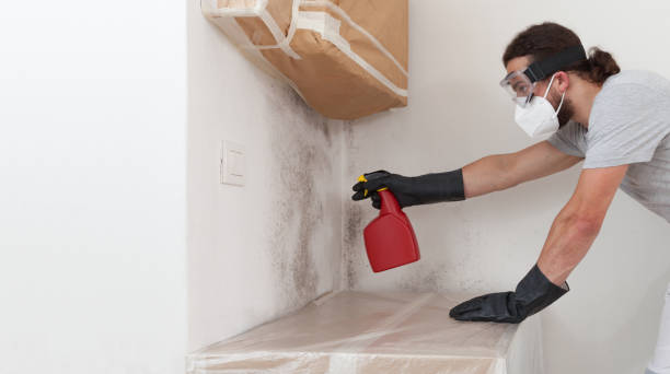 Professional Bathroom Mold Removal technician working in Newton Upper Falls, MA